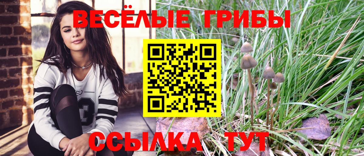 Галлюциногенные грибы ЛСД  Галлюциногенные грибы GOLDEN TEACHER  Вход с VPN  Северобайкальск 